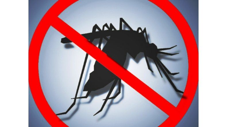 Lucha contra el dengue