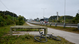 El joven volvía de trabajar en bicicleta cuando sufrió un grave incidente en la ciclovía de la ruta provincial 1. (Imagen ilustrativa con IA)