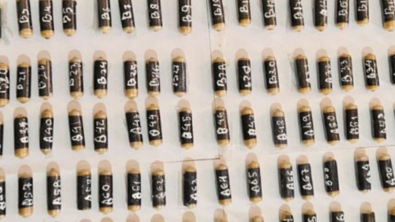 Ingirieron más de 190 cápsulas de cocaína y fueron detenidos en La Quiaca