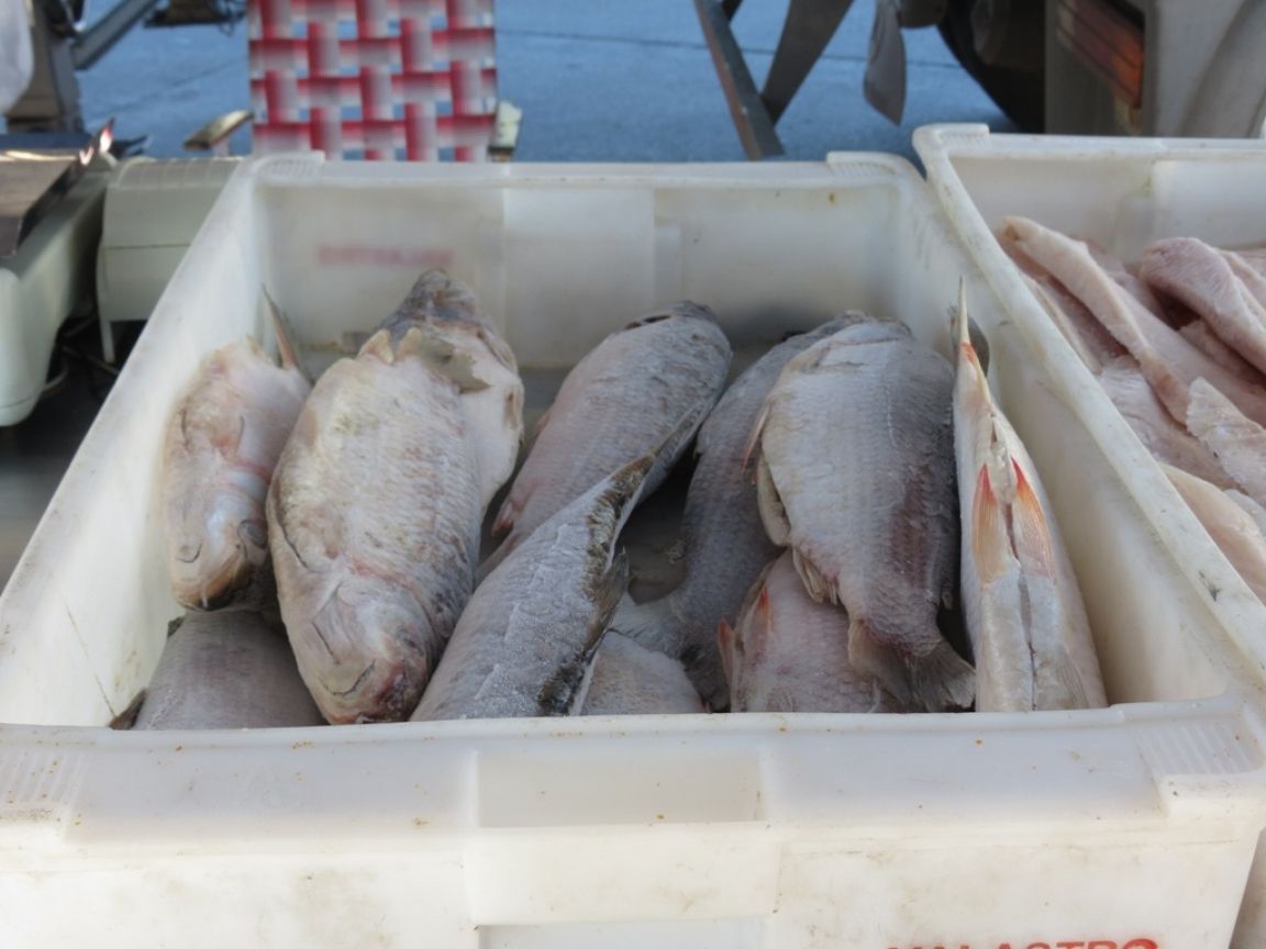 Pescado en Semana Santa
