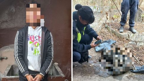 Todo Jujuy | maltrato animal.jpg