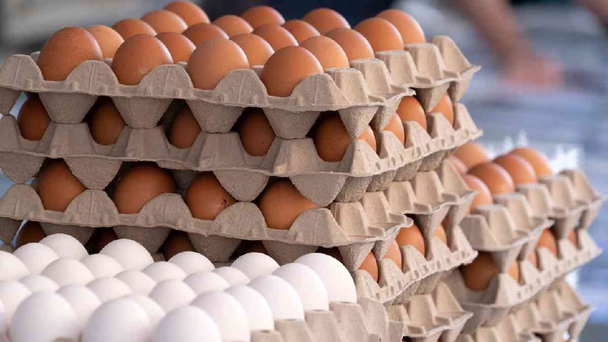 Aumentóel consumo de huevos