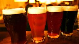 Empezó la veda y está prohibido vender alcohol