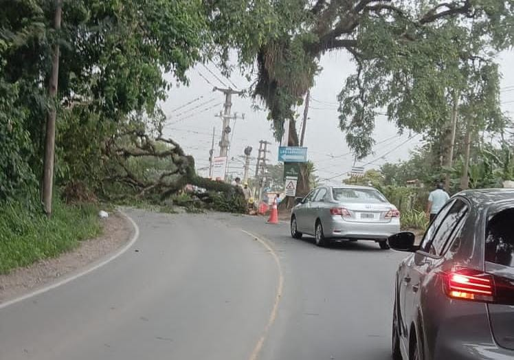 Corte en la Ruta 56.