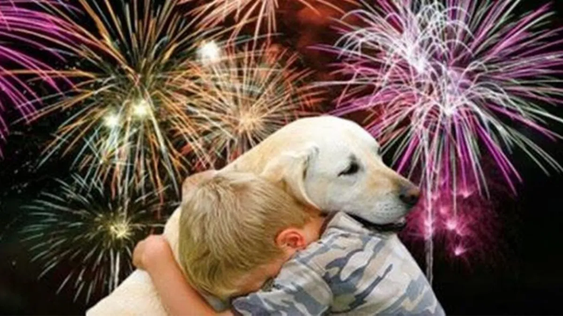 Está prohibida la venta de pirotecnia sonora en Jujuy. Está prohibida la venta de pirotecnia sonora en Jujuy.