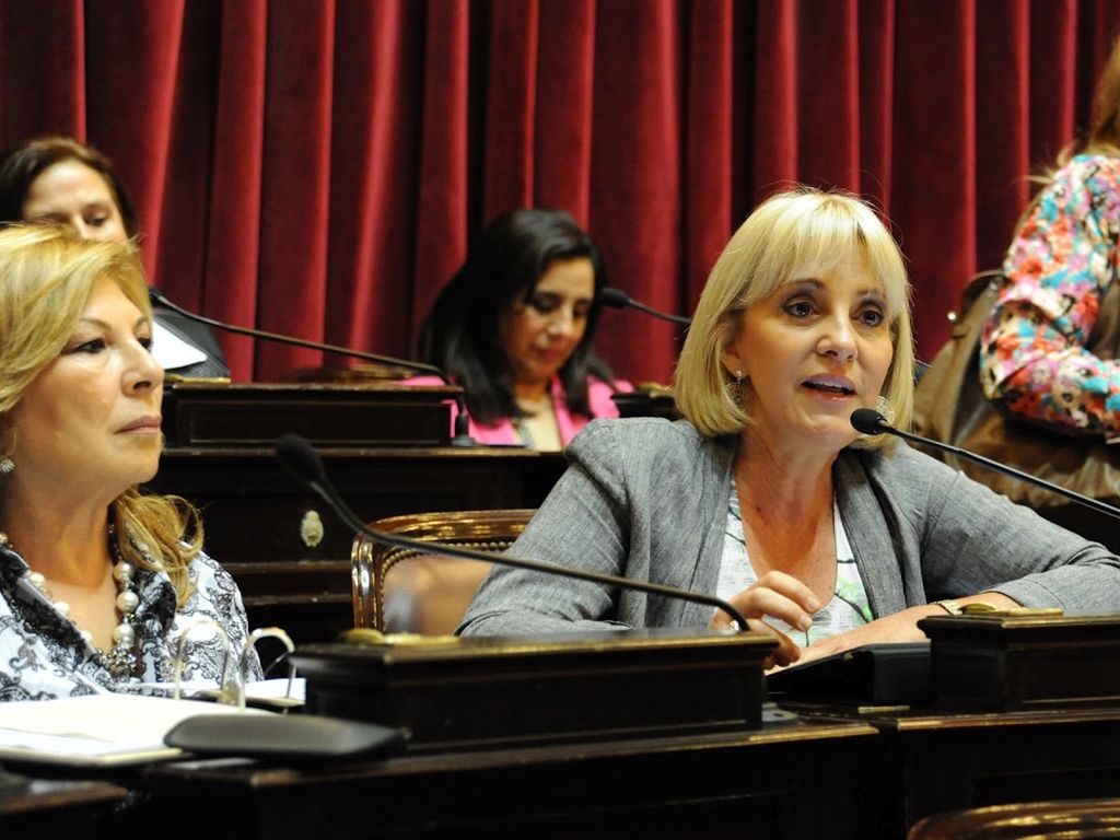 Senadora Liliana Fellner