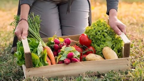 Todo Jujuy | agroalimentos.jpg