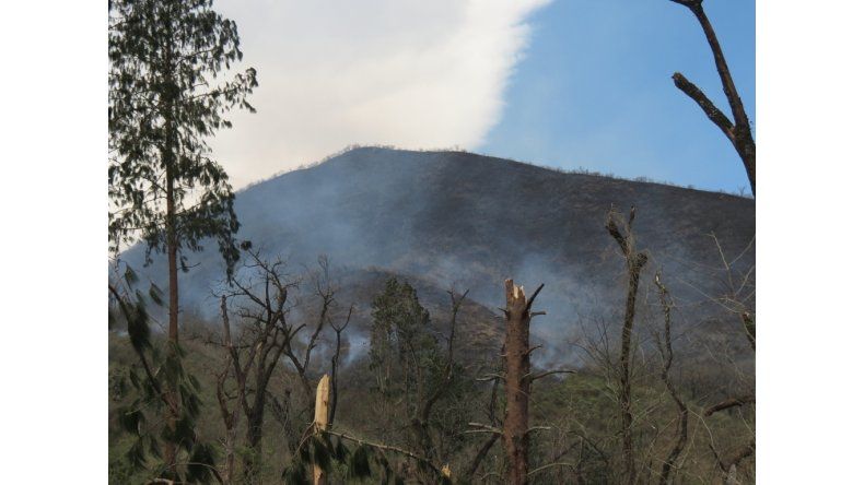 Incendios forestales
