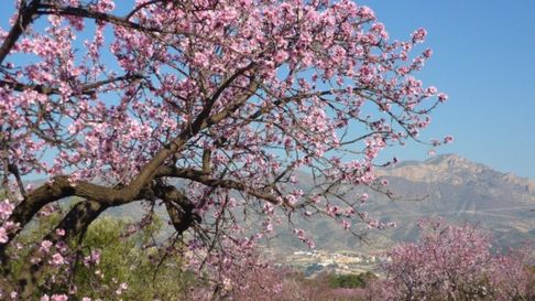 Todo Jujuy | primavera clima paisaje.jpg