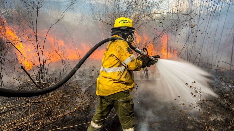 Peligro de incendios forestales (Archivo)