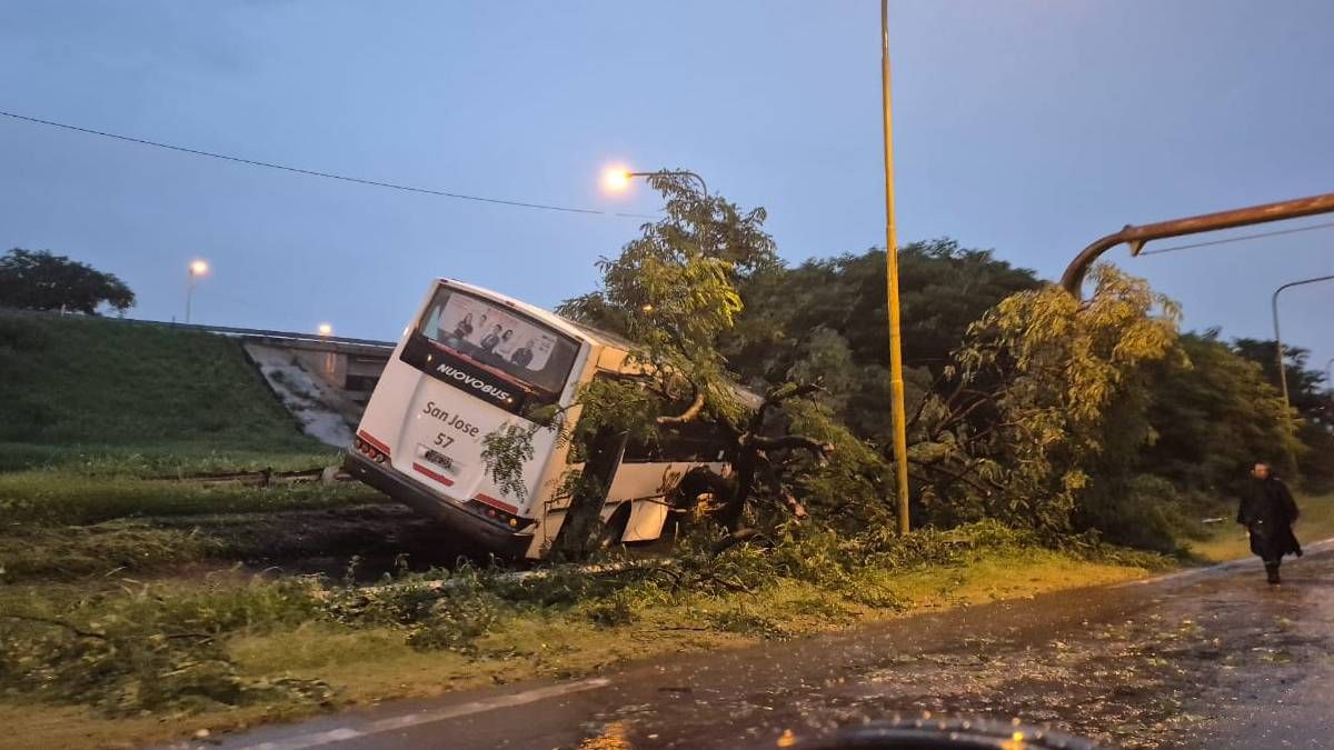Pudo ser una tragedia: un colectivo perdió el control en el acceso sur