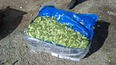 Al iniciar con la inspección, los gendarmes percibieron un fuerte olor característico a las de hojas de coca que provenían de cinco encomiendas, y que eran llevadas hacia la localidad de Villa Celina.