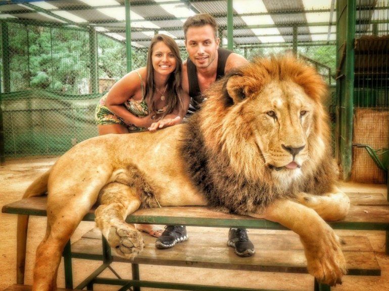 Zoologico