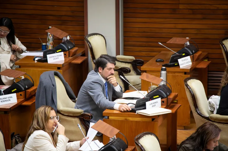 Diputado Juan Soler.