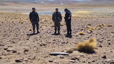 Desactivanun proyectil de artillería encontrado en Susques