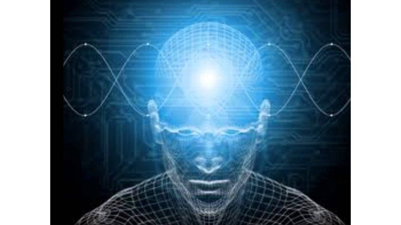 El cerebro y la información