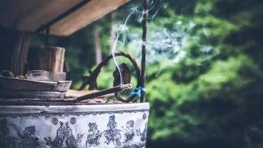 Soluciones para mantener a los insectos alejados de tu casa