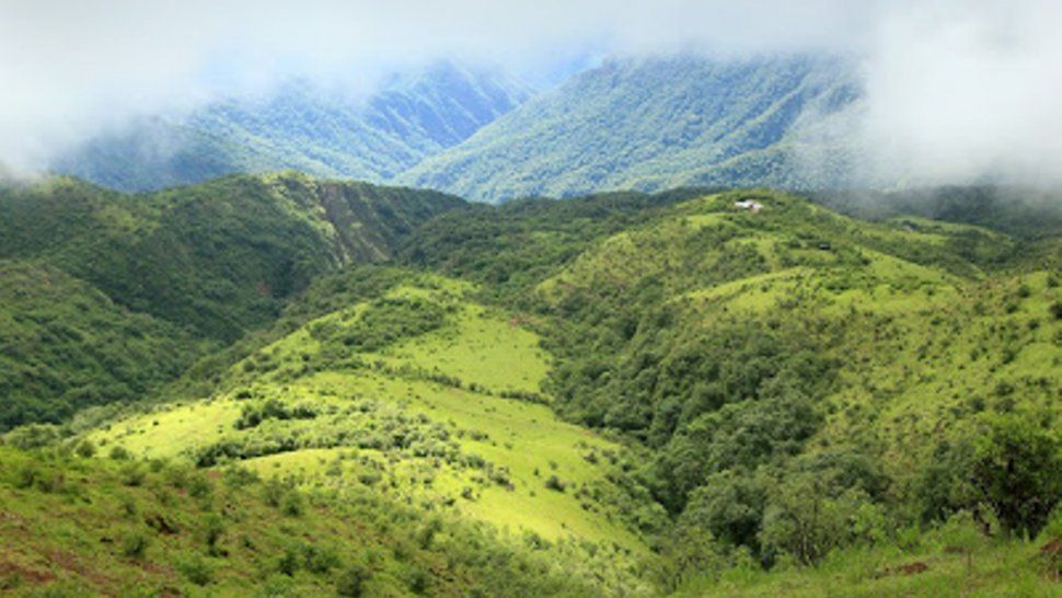 Parque Nacional de Calilegua