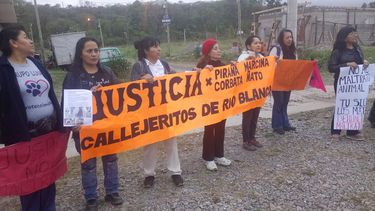 Marcha por perros que habrían sido envenenados en Río Blanco.
