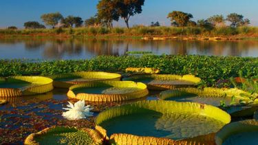 Descubrí una de las reservas más intactas de Argentina. Descubrí una de las reservas más intactas de Argentina.