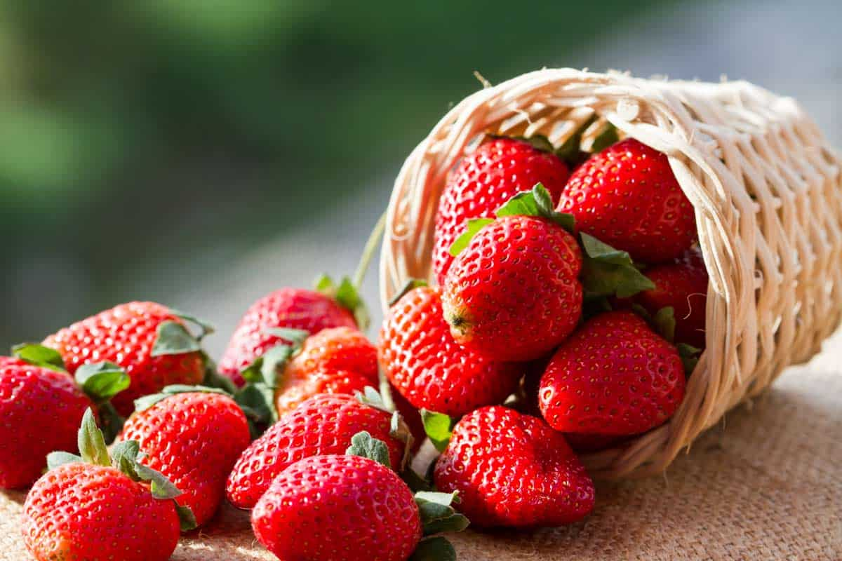 Las frutillas son una de las frutas más alergénicas.