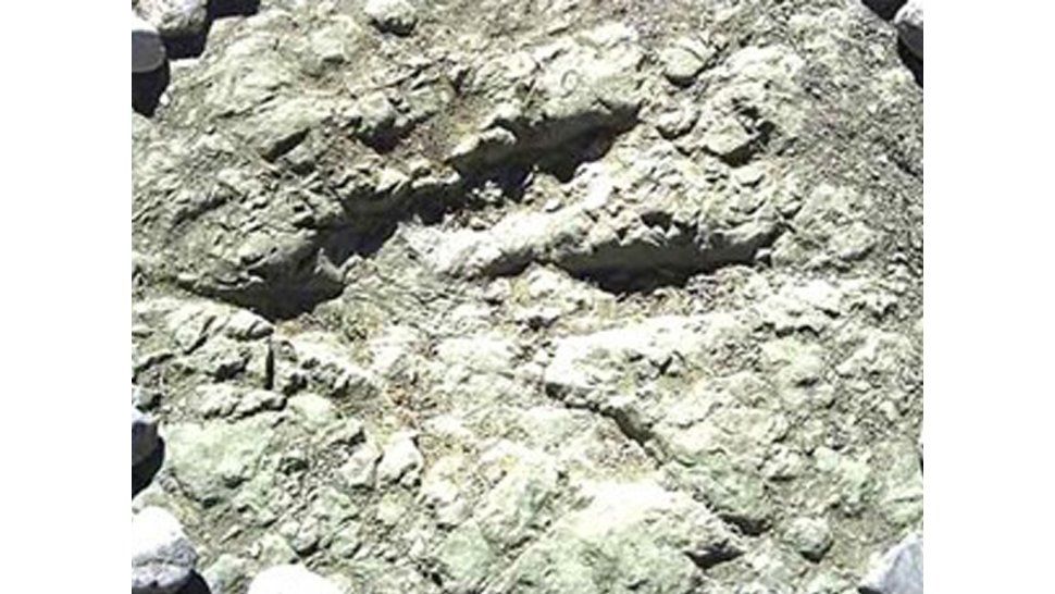Huellas de dinosaurios