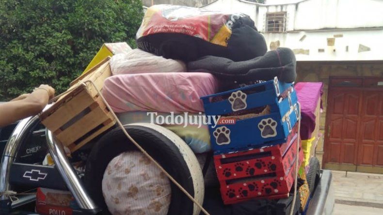 Alumnos del colegio Gianelli donaron cuchas y alimento para perros al Hogar San Roque