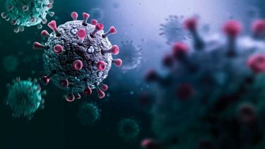 Qué se sabe del primer caso de Gripe A H3N2 en Tucumán.