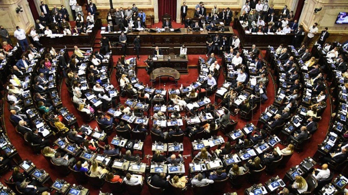 Elecciones 2023 balotaje: cómo queda el Congreso que tendrá Javier Milei