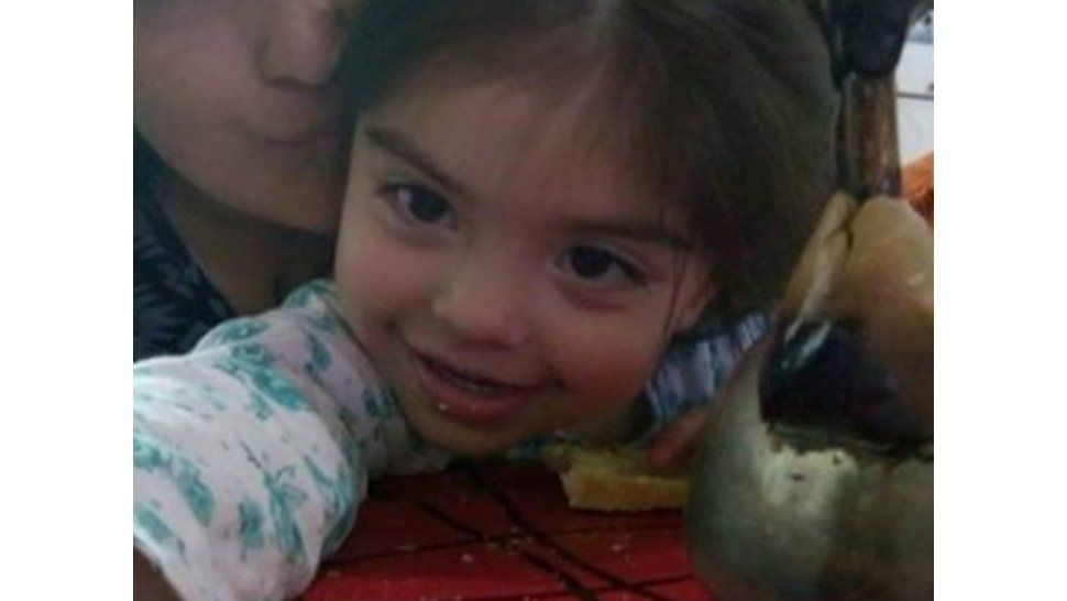 Delfina