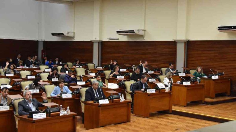 Diputadosaprobaron la aplicación del Protocolo Código Mariposa