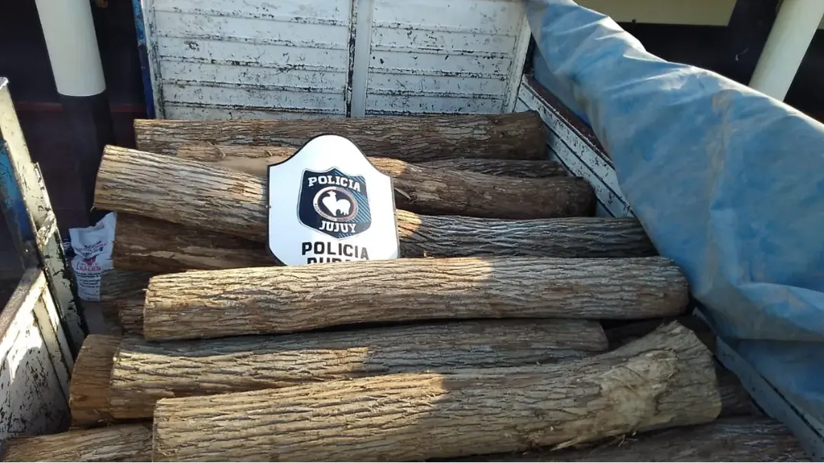 Vinalito: Secuestraron troncos de palo blanco