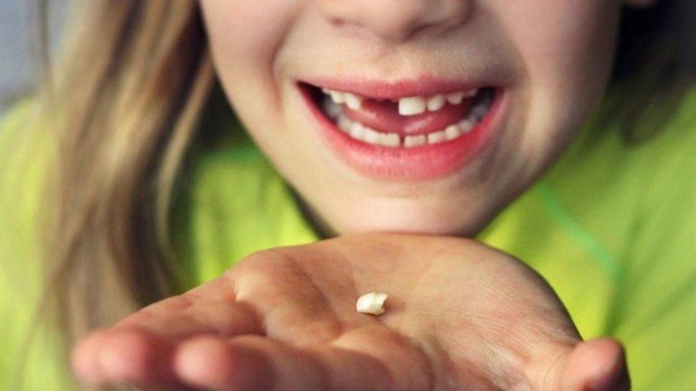 Dientes de leche.jpg