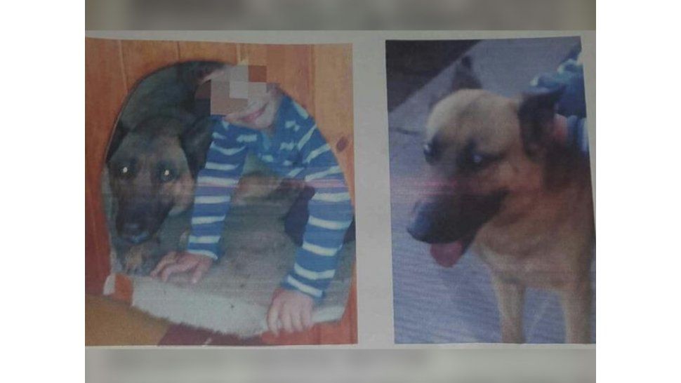 Santi busca a Chiquita
