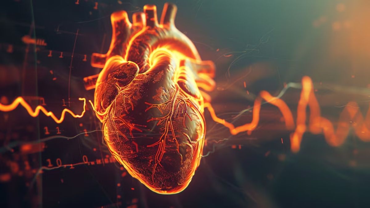Se registran 40 mil infartos al año en Argentina y crece la preocupación por los casos en jóvenes. &nbsp;