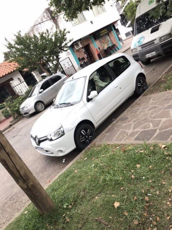 Caniche encerrado en un auto