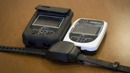 Buscan implementar más pulseras electrónicas para casos de violencia de género en Jujuy