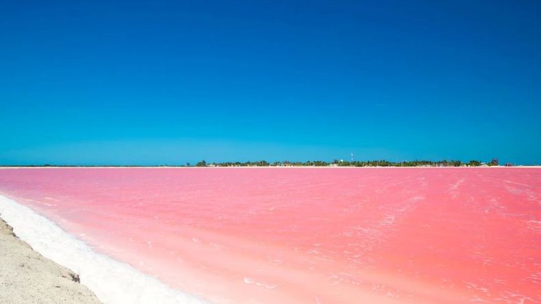 Impactantes imágenes de lagunas rosas en el mundo&nbsp;