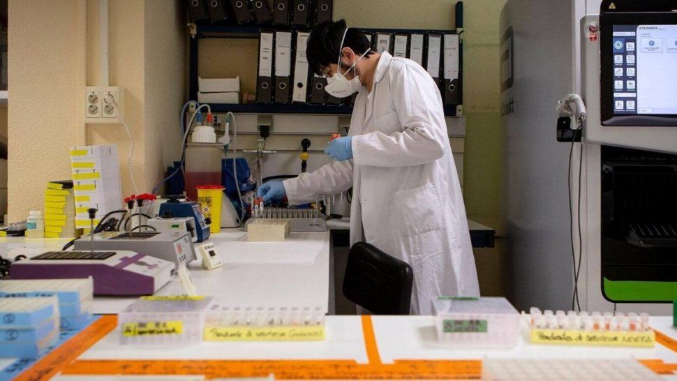 argentina: presentaron 532 proyectos cientificos para combatir al coronavirus