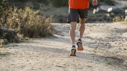 El sóleo es un músculo en la pierna que ayuda a que nuestro corazón pueda latir.&nbsp;