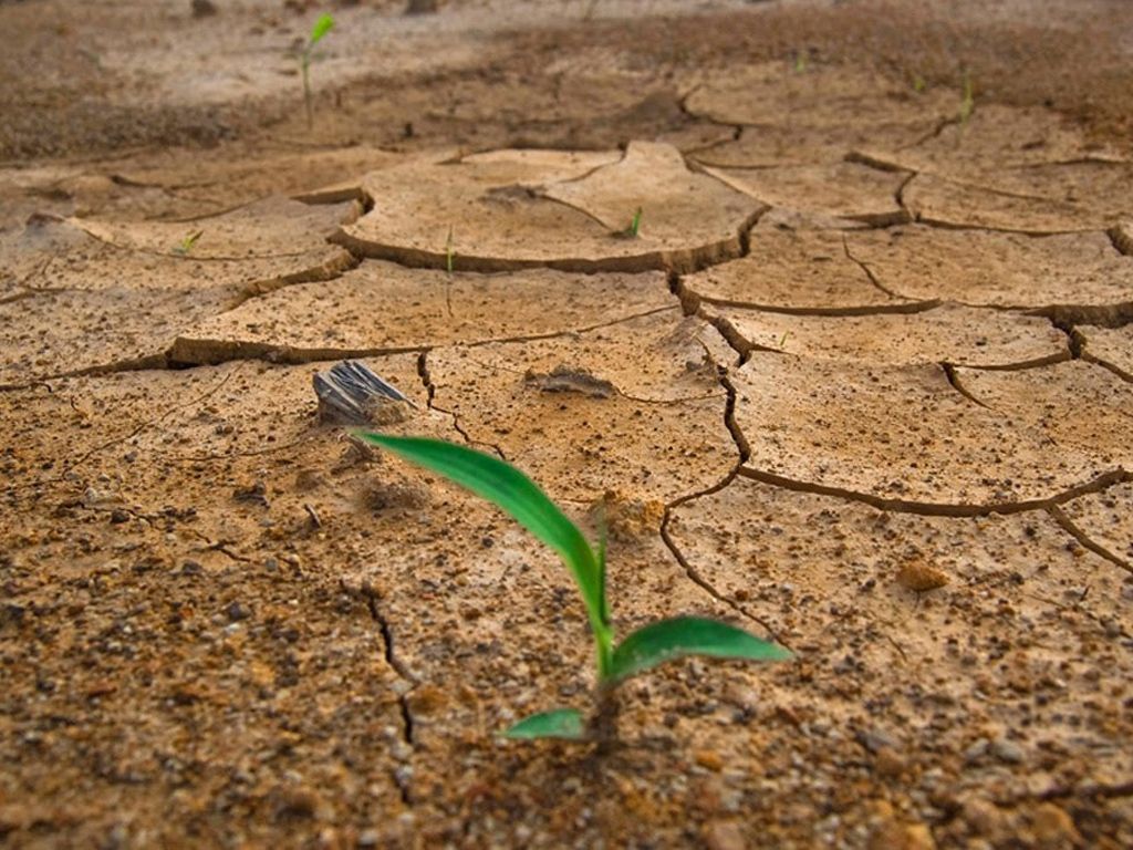 Cambio climático