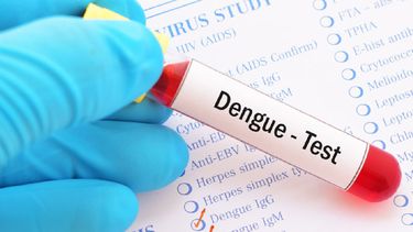 Casos de dengue en Jujuy (Foto ilustrativa)