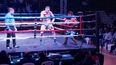 Boxeadores jujeños en Tucumán
