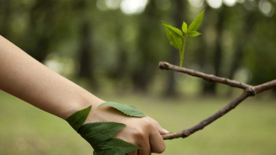 Medio ambiente: realizarán un canje de bolsas plásticas por las ecológicas
