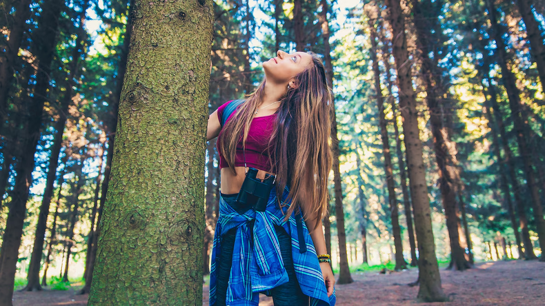 Investigaciones recientes concluyeron que 