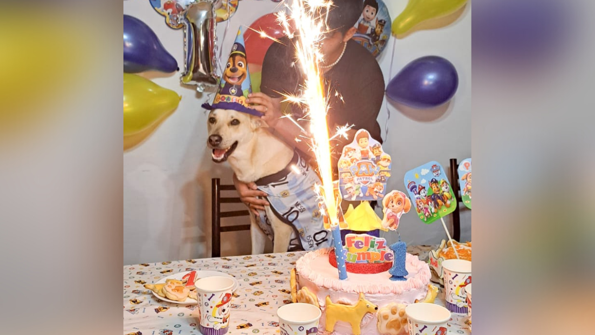 Adopción de mascotas: Perro jujeño celebró su primer añito