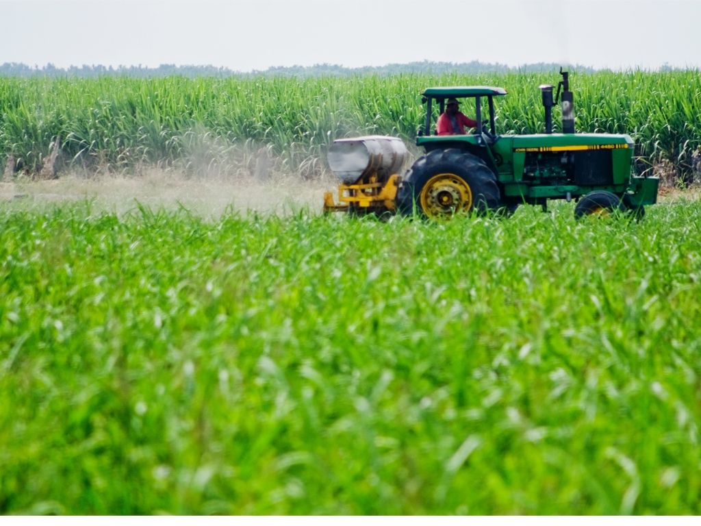 Sector agroindustrial