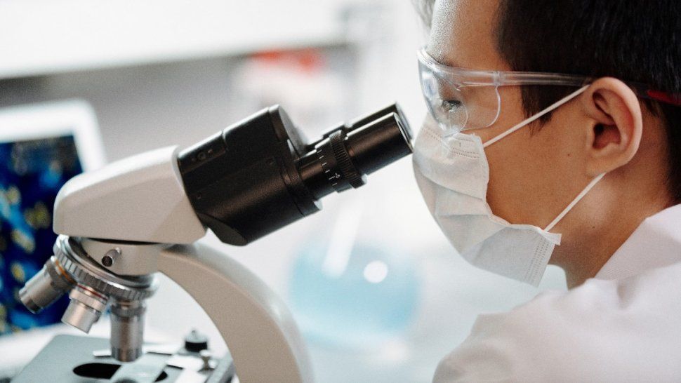 existe una bacteria que sobrevivio mas de un siglo en el ambito hospitalario