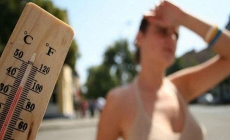 Cuál es la mejor forma de combatir el calor según la inteligencia artificial