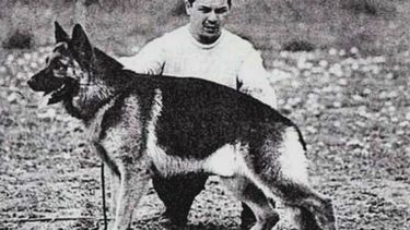 La historia del perro policía Chonino.
